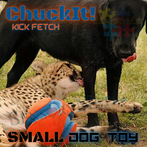 Chuck-It! KICK FETCH Dog Ball Heavy Duty Interactive Dog Toy Floats On Water - 6" ChuckIt! Dog Ball