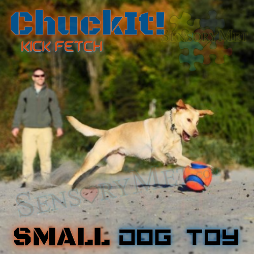 ChuckIt! KICK FETCH Dog Ball Heavy Duty Interactive Dog Toy Floats On Water - 6" Chuck It! Dog Ball