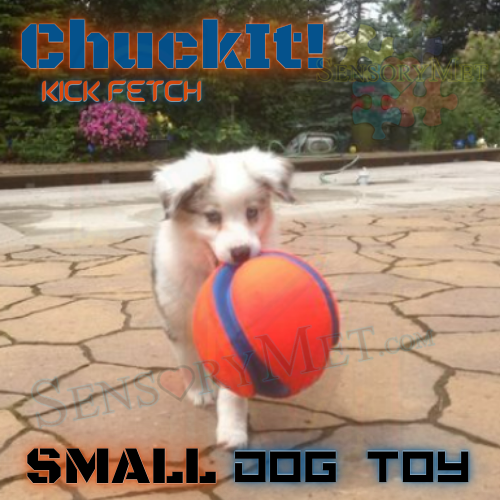 ChuckIt! Dog Ball KICK FETCH Heavy Duty Interactive Dog Toy Floats On Water - 6" Chuck It! Dog Ball