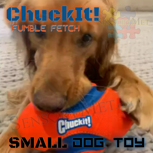 ChuckIt! FUMBLE FETCH Dog Ball Heavy Duty Football Dog Toy - Small 9 Inch