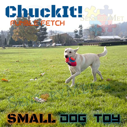 ChuckIt! FUMBLE FETCH Dog Ball Heavy Duty Football Dog Toy - Small 9 Inch