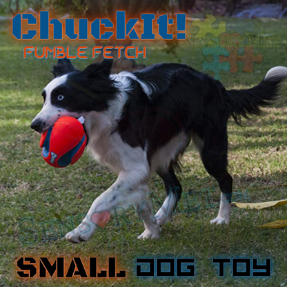 ChuckIt! FUMBLE FETCH Dog Ball Heavy Duty Football Dog Toy - Small 9 Inch