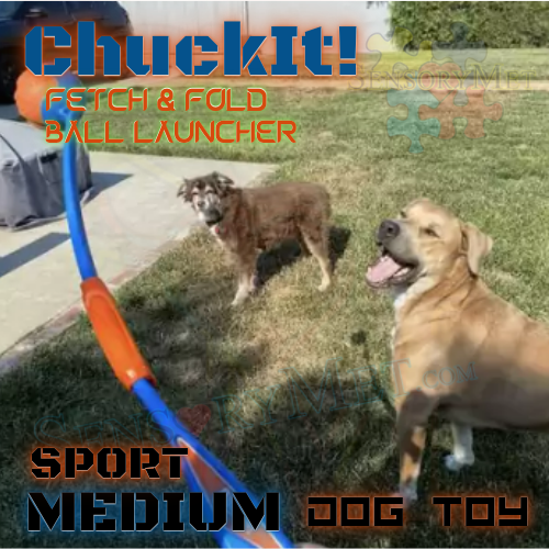 ChuckIt! Fetch & Fold DOG BALL LAUNCHER Compact Dog Toy w/ Rubber Ball - Medium 25 Inch